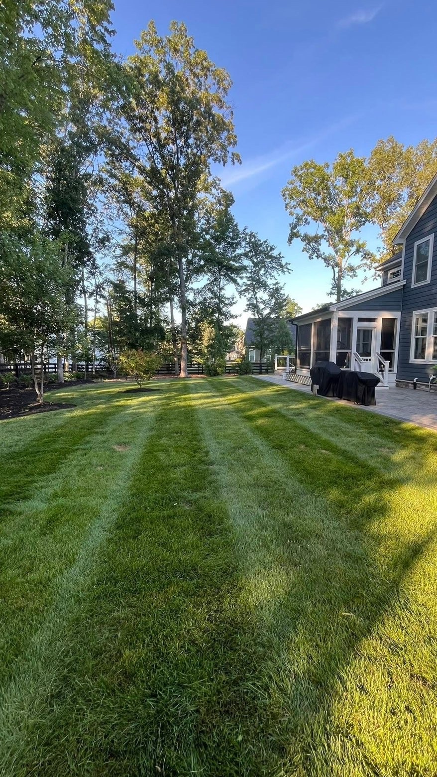 Freshly mowed backyard with professional striping